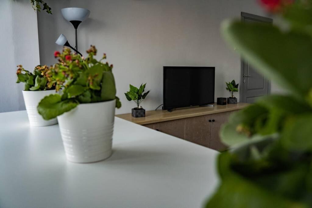 Modern 1 Bedroom Apartment In Bucharest Center! ภายนอก รูปภาพ
